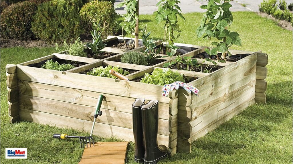 Create a garden at home 🍅