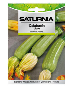 Alternative view of Semillas Calabacin Verde Oscuro (5 gramos) Semillas Verduras, Horticultura, Horticola, Semillas Huerto.