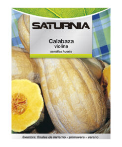 Alternative view of Semillas Huerto Calabaza Violina
