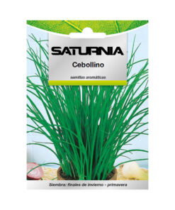 Semillas Aromaticas Cebollino (1 gramo) Horticultura, Horticola, Semillas Huerto.
