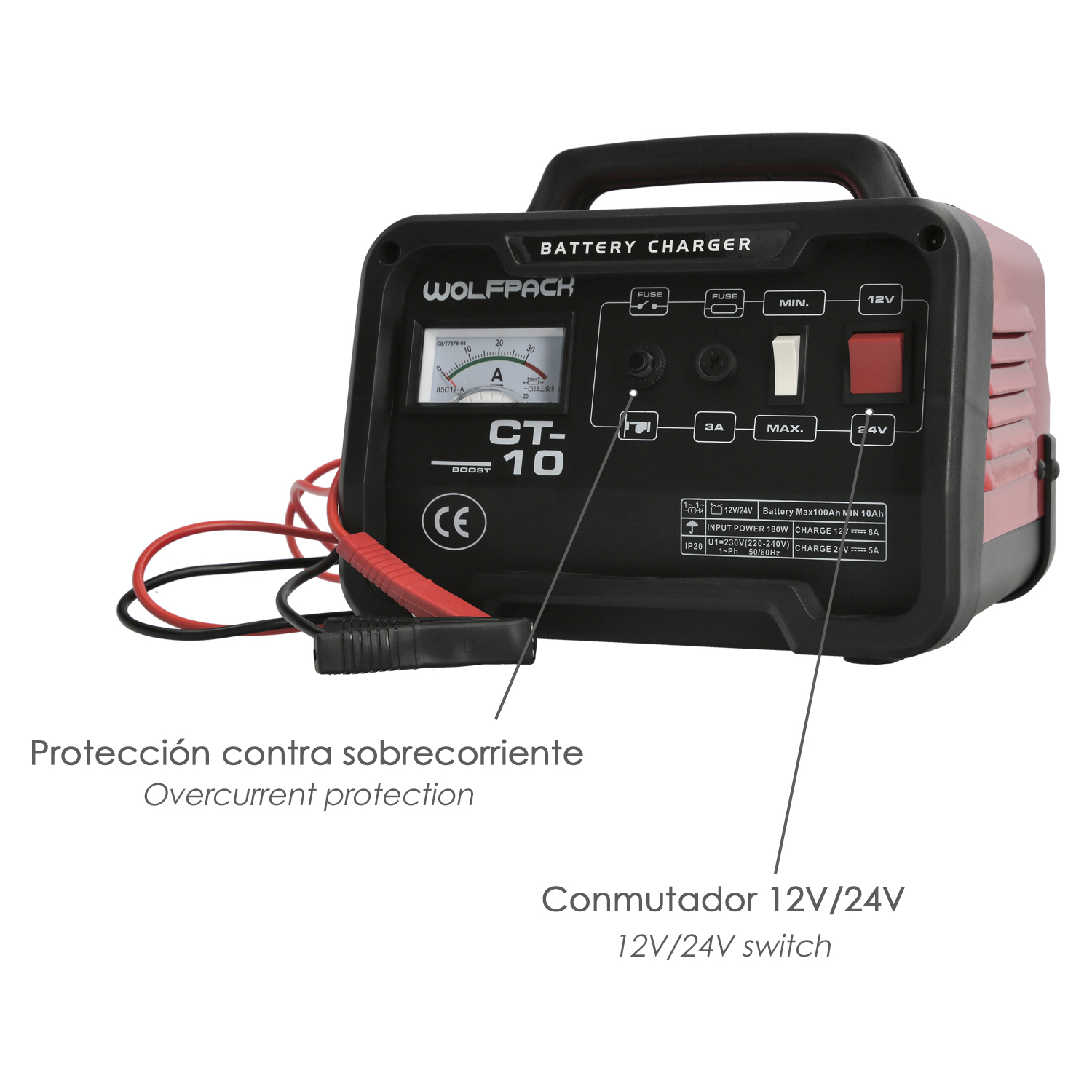 Carga Baterias 12/24V 10-100Ah - Imagen 4