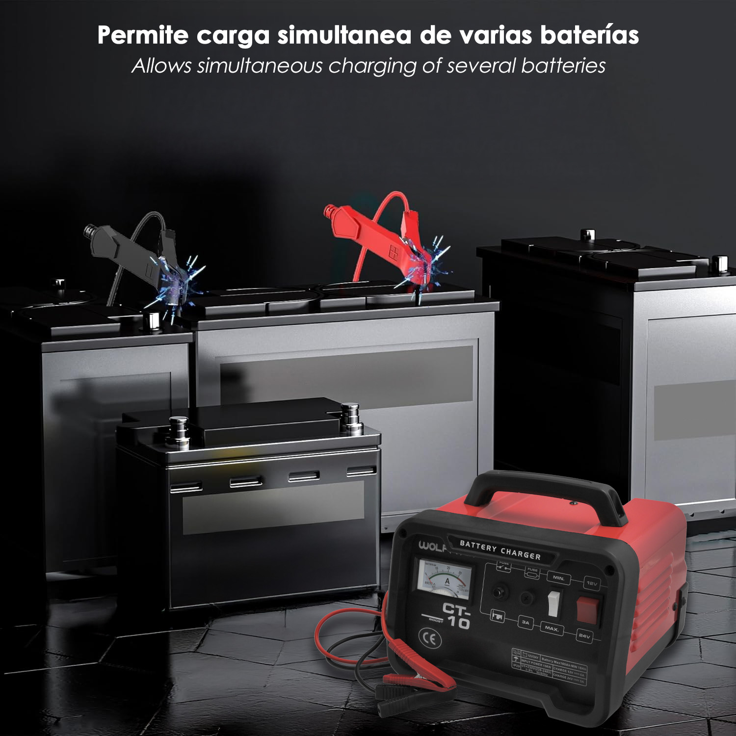 Carga Baterias 12/24V 10-100Ah - Imagen 6