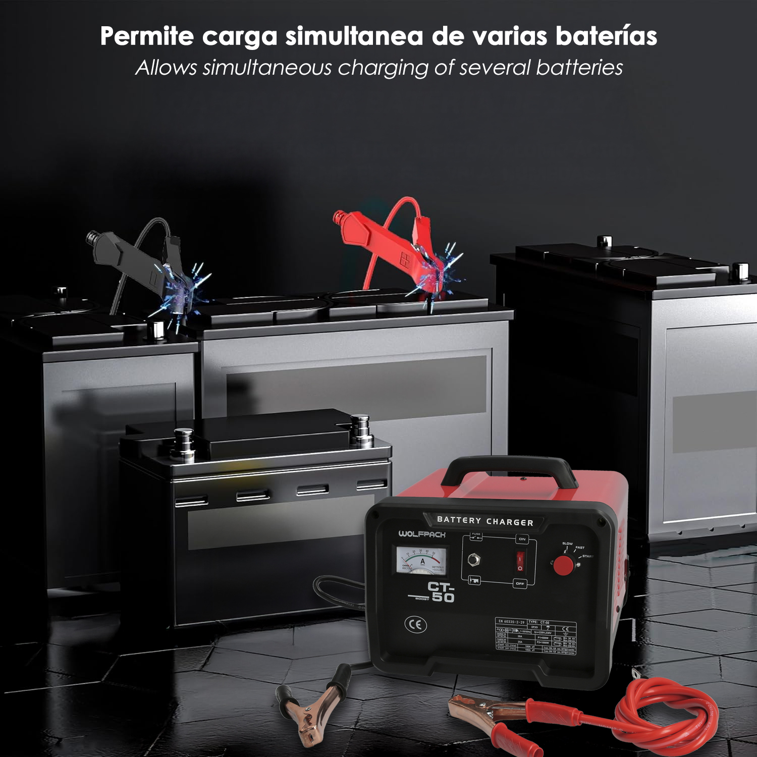 Carga Baterias 12/24V 30-350Ah Con Arrancador - Imagen 6