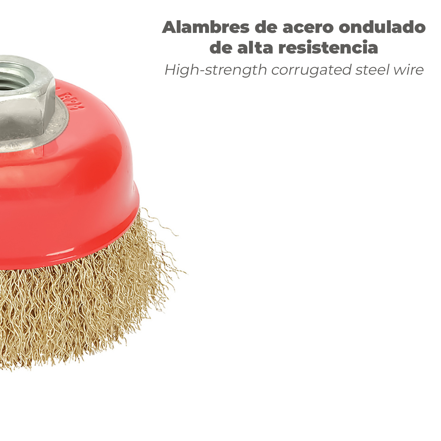 Cepillo Taza Con Alambre De Acero Latonado Rosca M14, Ø 120 mm. Alambre de Ø 0,30 mm. - Imagen 4