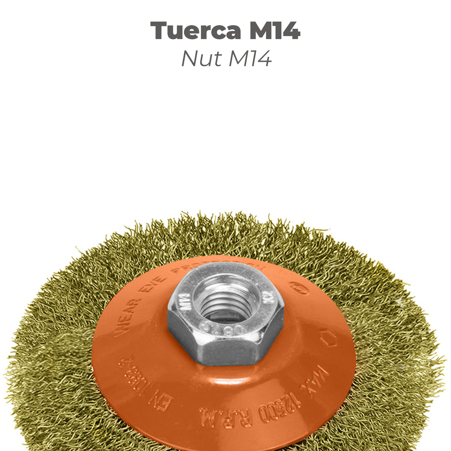 Cepillo Oblicuo Con Alambre De Acero Latonado Rosca M14, Ø 100 mm. Alambre de Ø 0,30 mm. - Imagen 4