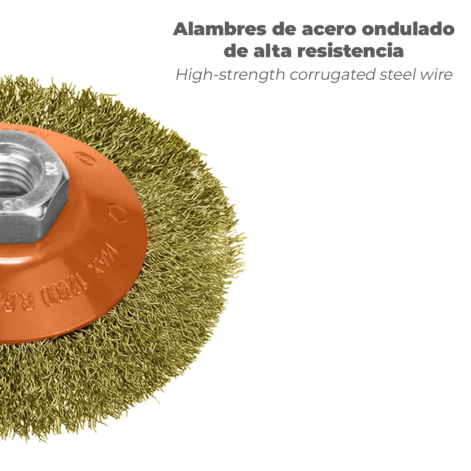 Cepillo Oblicuo Con Alambre De Acero Latonado Rosca M14, Ø 100 mm. Alambre de Ø 0,30 mm. - Imagen 5