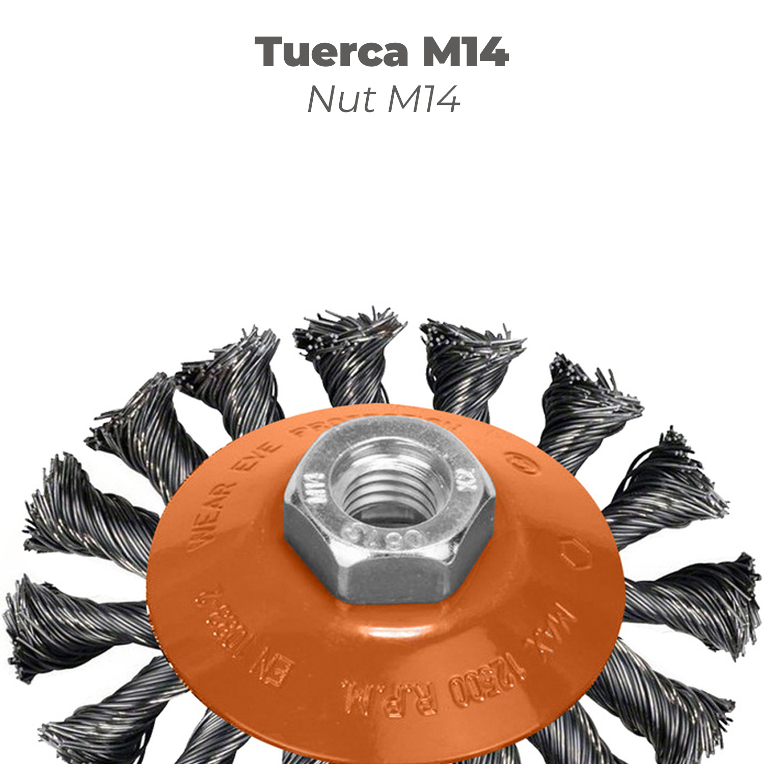 Cepillo Oblicuo Con Alambre De Acero Trenazdo Rosca M14, Ø 100 mm. Alambre de Ø 0,30 mm. - Imagen 4