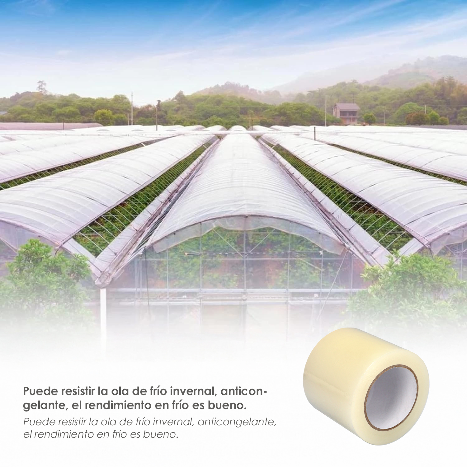Cinta Para Reparacion Invernaderos 10 cm. x 33 metros. Cinta Adhesiva Reparacion Alta Resistencia - Imagen 5