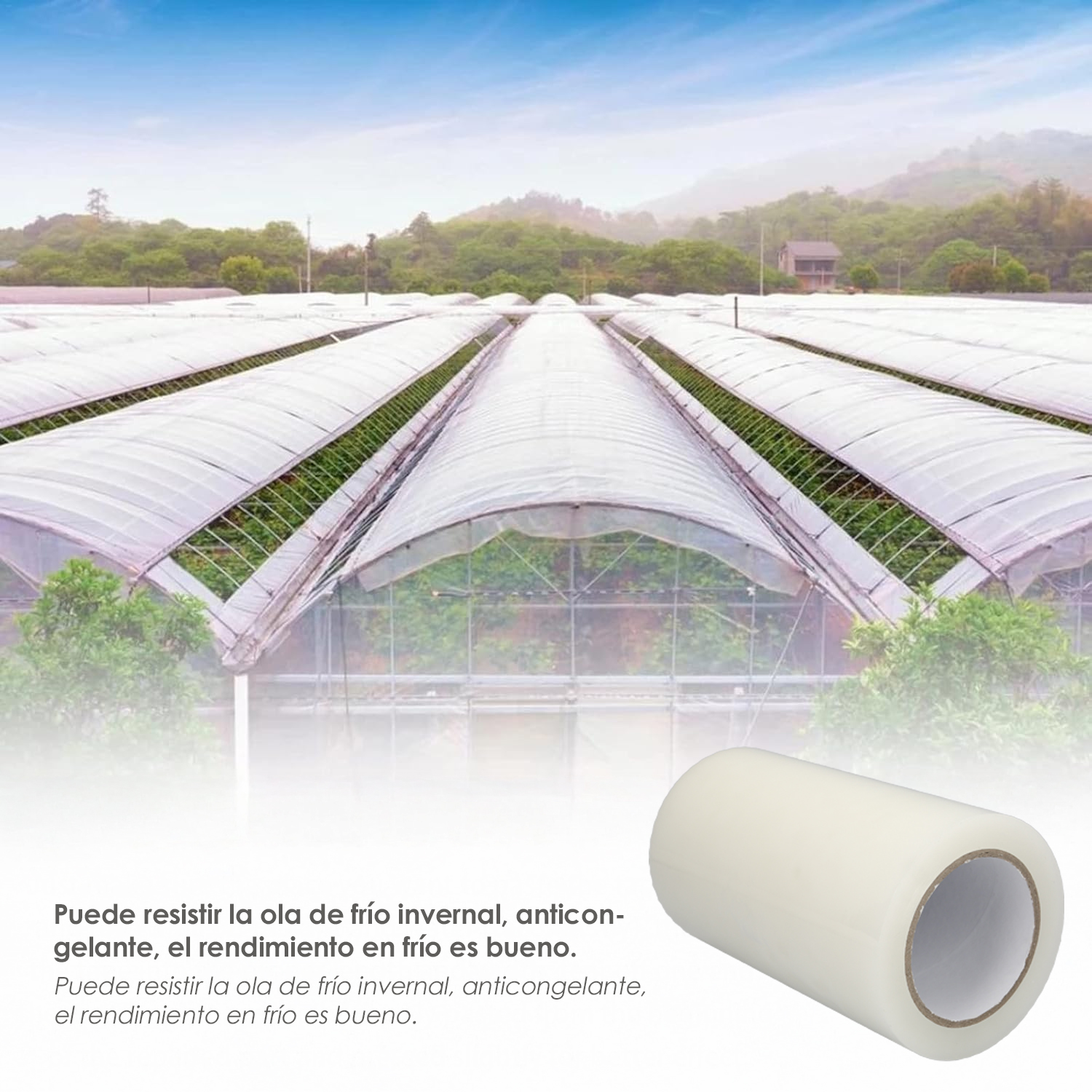 Cinta Reparacion Invernaderos 20 cm. x 33 metros - Imagen 3