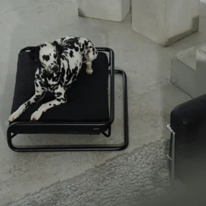 Microcemento para mascotas