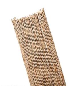 Alternative view of ROLLO BAMBU CHINO FINO 2X5 MT