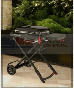 Alternative view of BARBACOA DE GAS TRAVELER