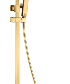 CONJUNTO DUCHA MONOMANDO PISA ORO CEPILLADO